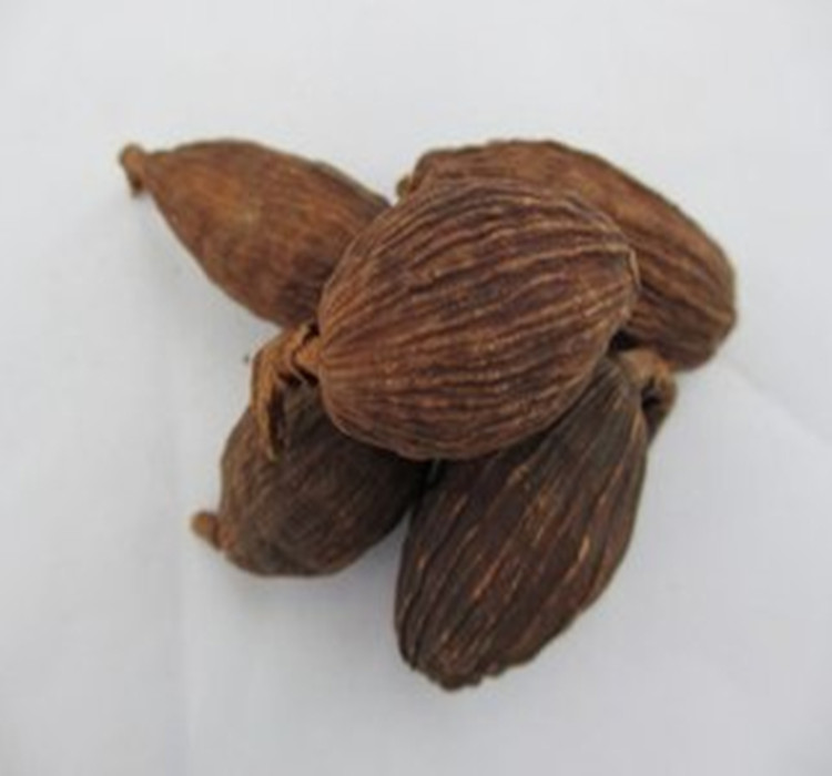 草果 草果仁 草果子火锅厨房调味品香料配料必 药材配料 5份包邮