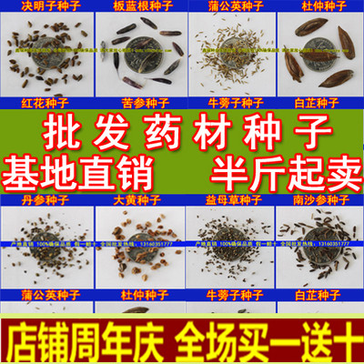 中药材板蓝根党参杜仲柴胡决明子红花桔梗黄芪柴胡白芷药种子