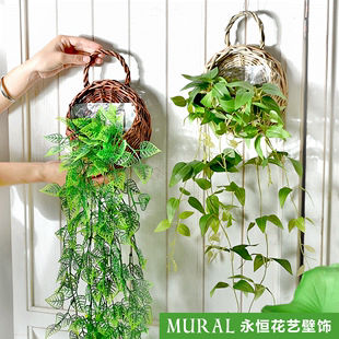 吊兰 铁艺壁挂花架 绿萝吊兰花架花篮吊篮墙壁装饰花架 阳台花盆架