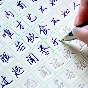 21天练好字 字帖成人凹槽练硬笔行楷书钢笔练字板练字神器练好字
