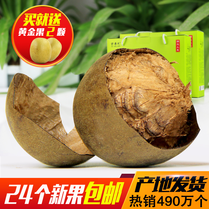 百寿元 罗汉果 大果新鲜罗汉果茶广西桂林永福特产24个果干 包邮