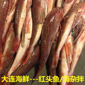 渤海鲜活小红头鱼 新鲜红鞋鱼 红蟹鱼 红娘子鱼 大连海鲜 杂拌鱼