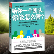 尖刀团队 提升团队管理效率 MBA商学院很受欢迎团队管理课 打造企业 正版成功企管书 给你一个团队你能怎么管