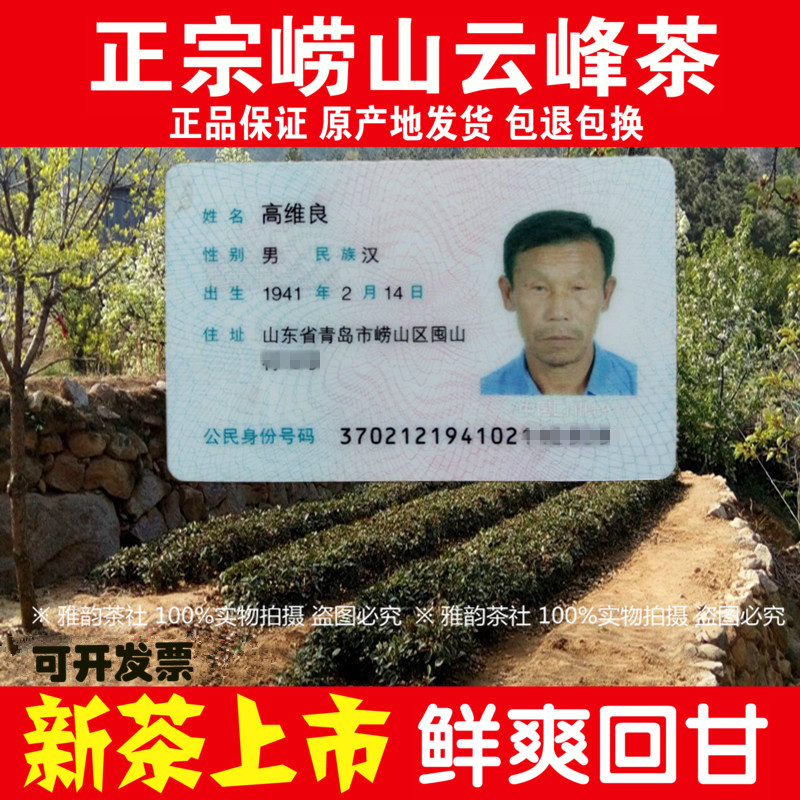 2016新茶叶崂山绿茶春茶青岛特产日照茶叶  浓香耐泡罐装500g包邮