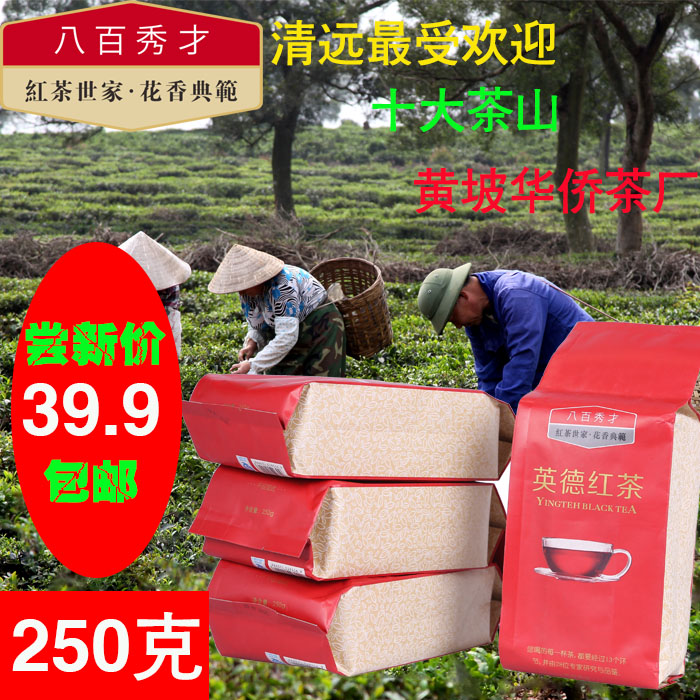 八百秀才英德红茶英红九号9号正宗有机红茶茶叶 广东特产包邮
