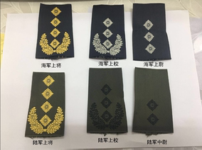 军迷美国2星少将金属徽章标领花领徽领章勋章军衔贝雷帽帽徽胸章