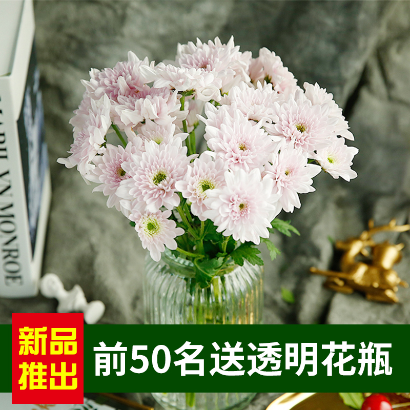 小雏菊鲜花花束