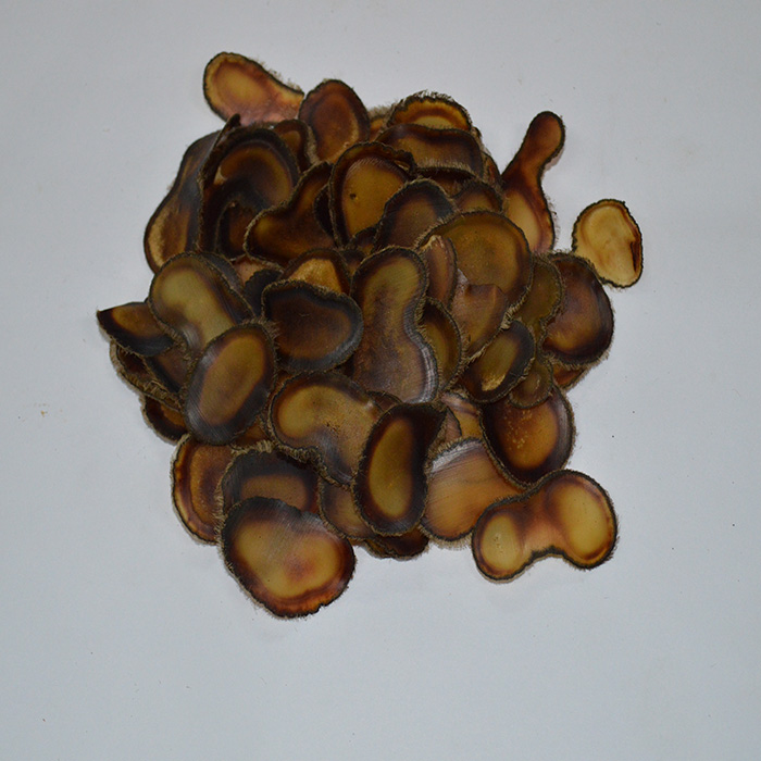 纯种梅花鹿鹿茸片 蜡片 鹿茸全蜡片 鹿茸精髓 1克包邮