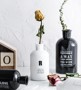 ins款北欧黑白字母玻璃花瓶