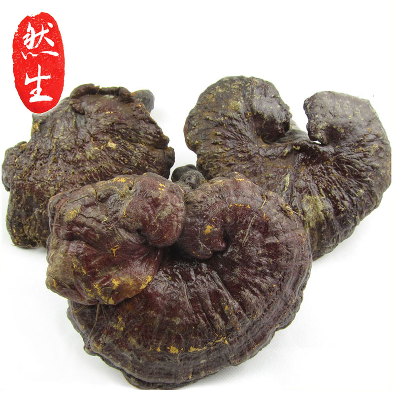 然生 云南野生灵芝赤芝红灵芝整枝灵芝可切灵芝片磨灵芝粉250g