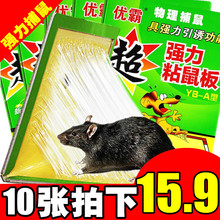 10张粘鼠板超强力粘板胶抓大老鼠贴夹笼药驱灭老鼠家用灭鼠捕鼠器