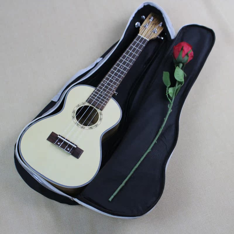 正品[小乌龟活体]活体小乌龟批发评测 陆龟 乌龟