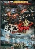 王学兵 孙宁 主演 抗日战争电视剧 DVD 滇西1944 商城正版
