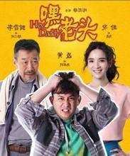李雪健 宋佳 DVD黄磊 37集都市家庭爱情电视剧 老头 正版