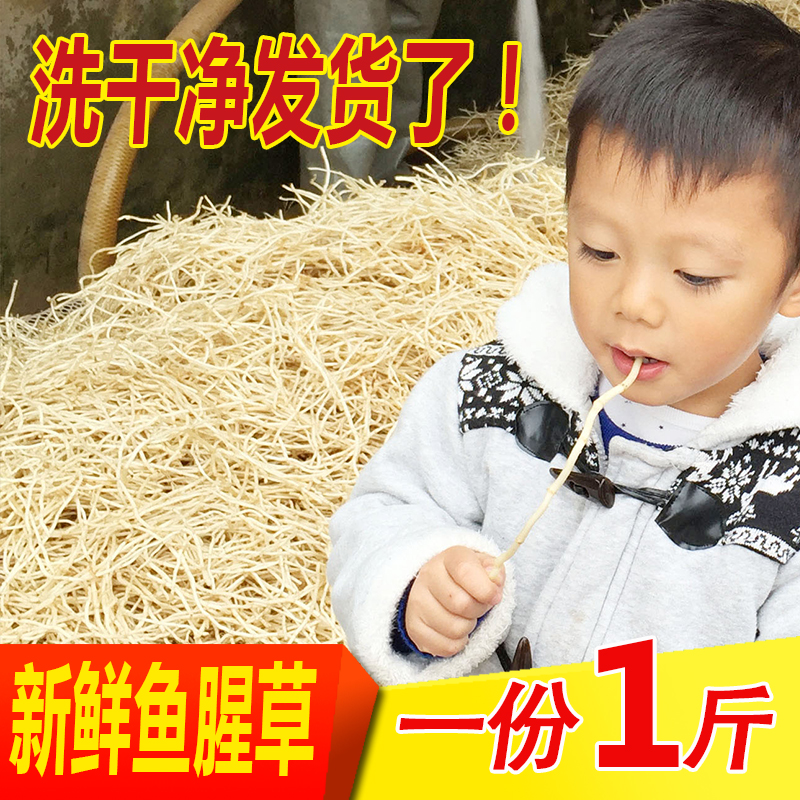 新鲜鱼腥草 现挖节节根折耳根野生鱼腥茶蔬菜凉拌鱼腥草1斤