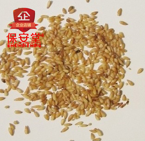 中药材批发正品特级去壳全仁柏子仁粉免费打粉500克