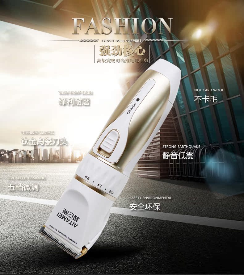 正品[狗剪毛]泰迪狗剪毛步骤图片评测 怎样给宠