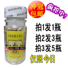 延缓衰老维e面部胶囊 维E祛皱抗衰老精华素90粒 ANIMATE 到货了