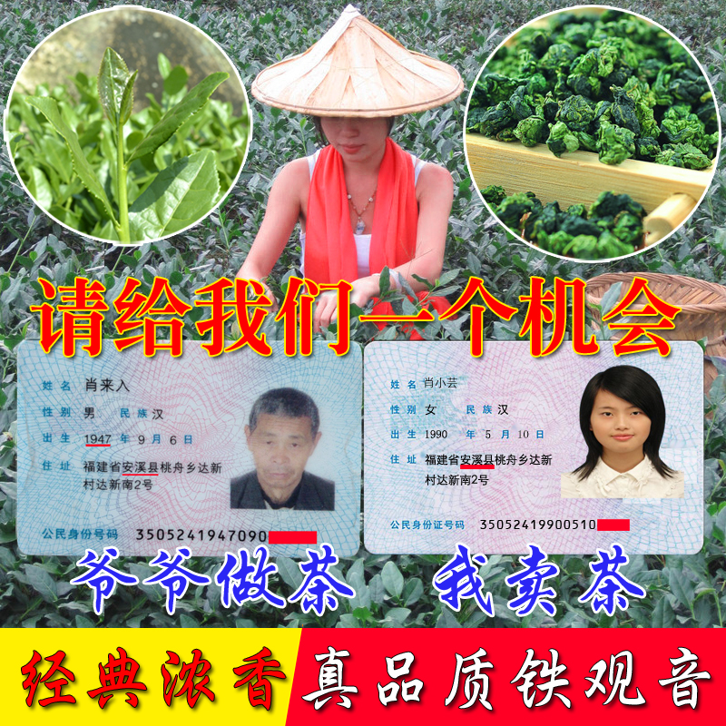 2016年秋茶铁观音茶叶 新茶 特级浓香型 乌龙茶 清香型 礼盒 包邮