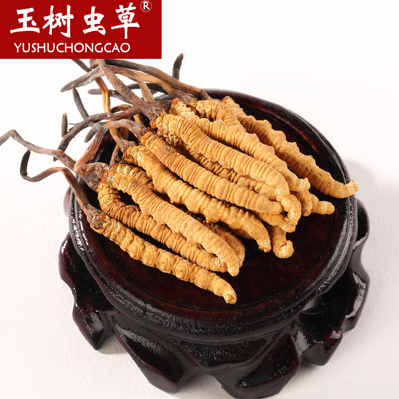 【顺丰包邮】玉树冬虫夏草 青海正宗虫草正品野生 6条1克装 礼盒