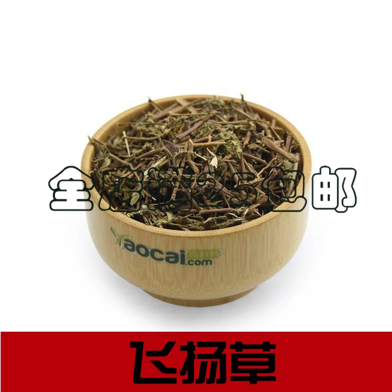 中药材 飞扬草 乳籽草 飞相草 大飞扬 节节花500克包邮