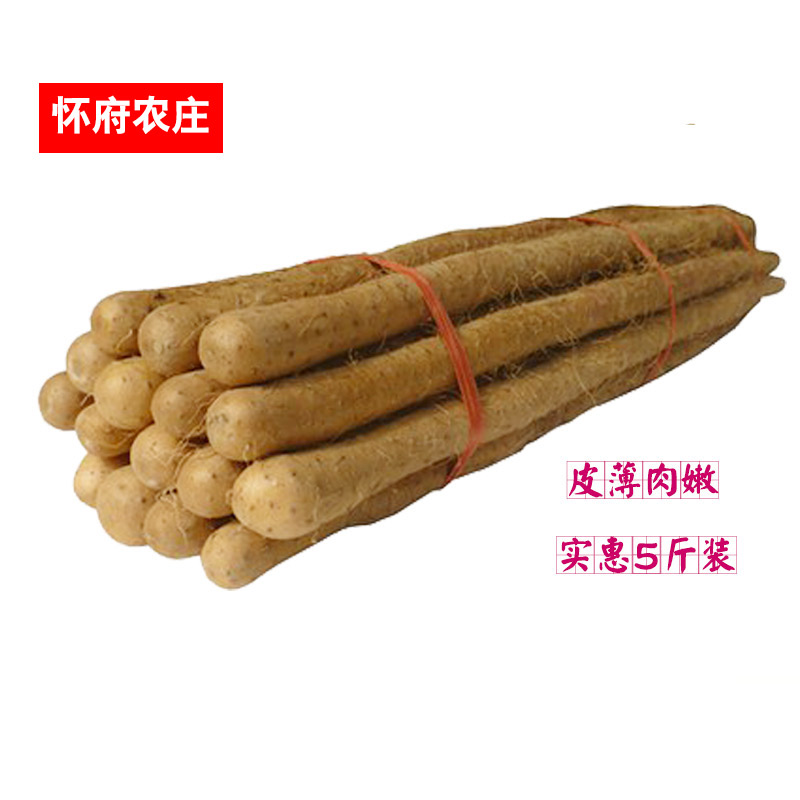 【怀府农庄】新鲜铁棍山药净重5斤 温县正宗铁怀/淮山药