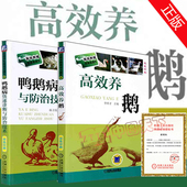 农业养殖技术大全书籍 鸭鹅病防治技术 鹅饲养标准和饲料配方 家禽饲养养殖 鸭鹅常见病诊断防治 现货 高效养鹅 实用养鹅大全 包邮