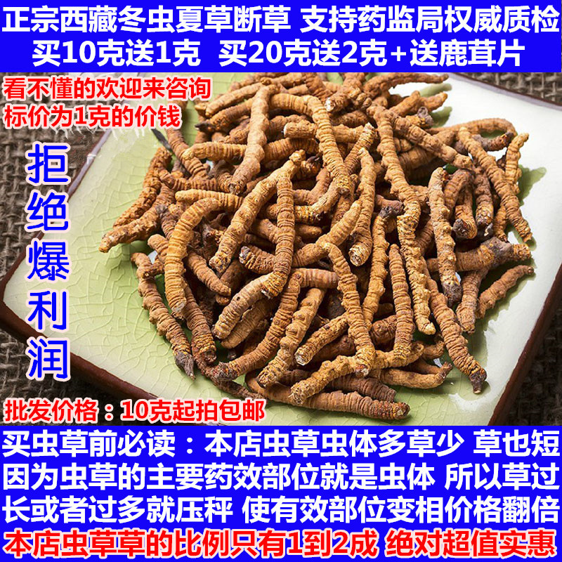 2016年新草 正品西藏野生冬虫夏草断草 正宗西藏虫草 10g起售包邮