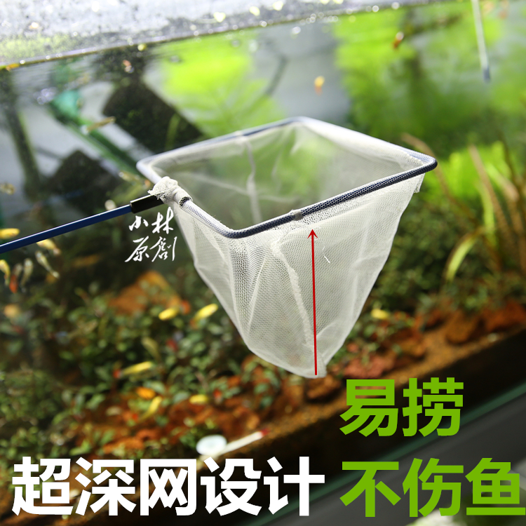 亚马逊鱼捞鱼缸捞鱼网方形鱼捞小型热带鱼捞网虾网手抄网大小中号
