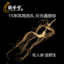 煲汤人参野山参移山参 包邮 长白山人参泡酒 15年高龄老山参