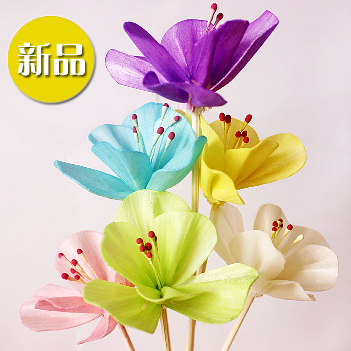 新品热卖派菲无火香熏配件藤条熏香干花样板房摆设彩色菊花通草花