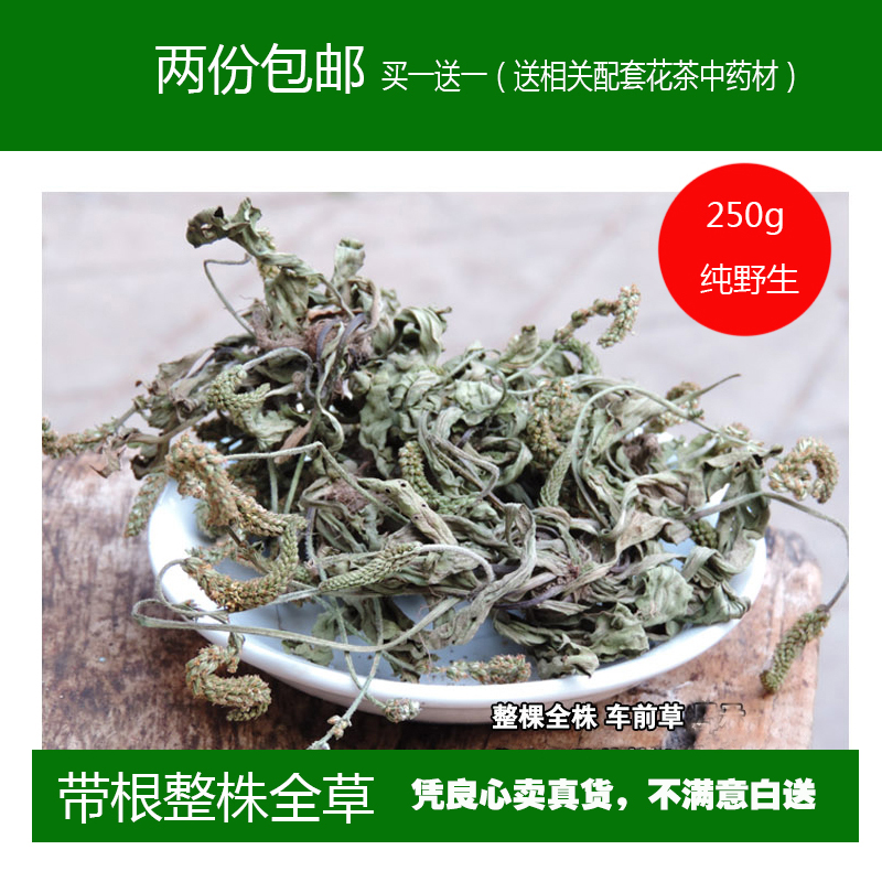 两份包邮2016沂蒙山野生全草优质车前草车前草根车前草籽250克/份