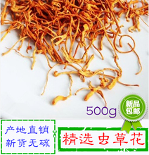包邮 金虫草 虫草花孢子头北虫草子实体蛹虫草天然无硫珍珠草500g