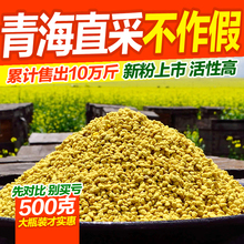 新鲜青海油菜花粉 天然蜂花粉未破壁品质纯正复人春 2017新粉上市