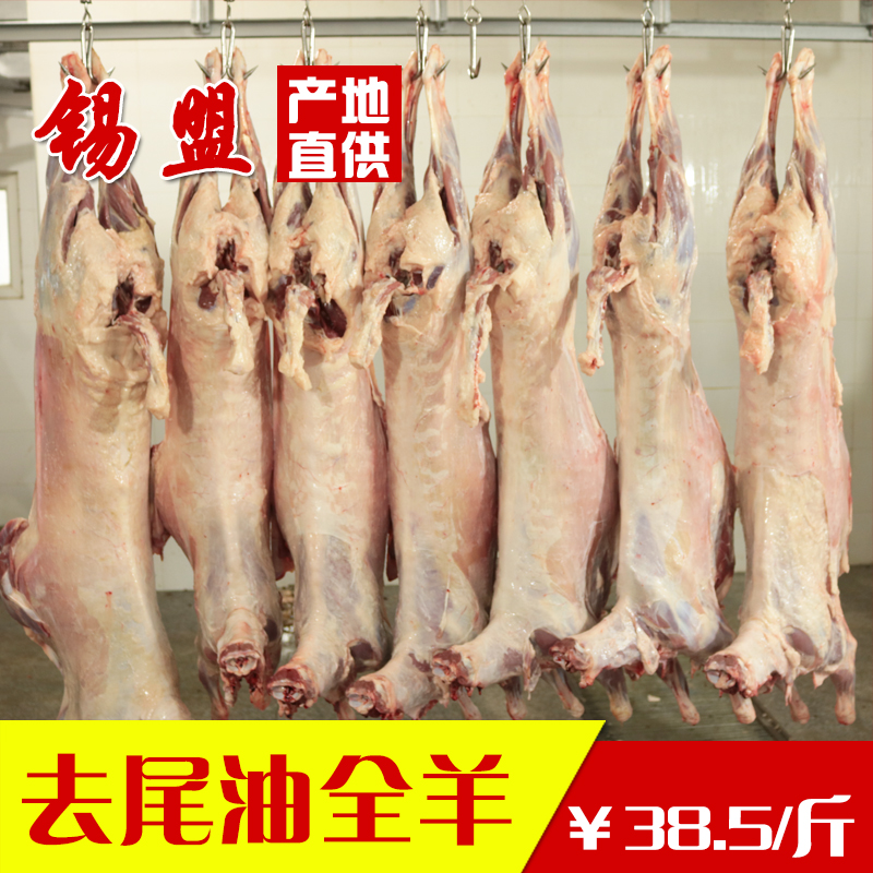 内蒙古全羊 锡盟草原散养苏尼特新鲜羔羊肉整只羊白条羊整羊