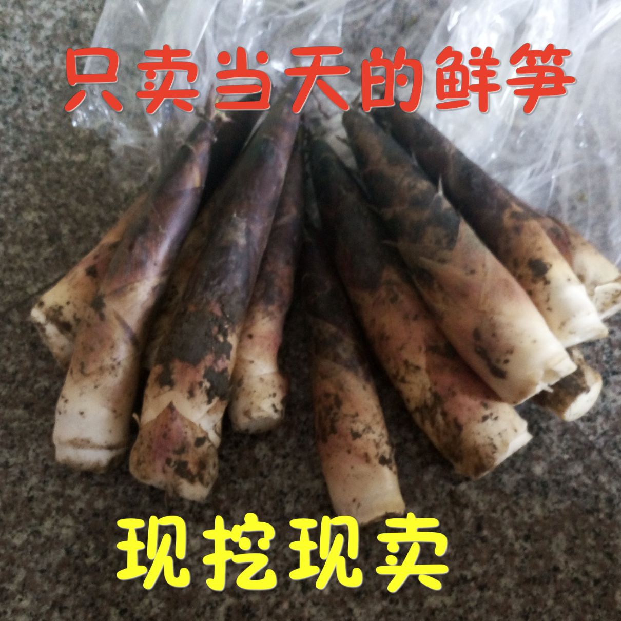 推荐最新杭州摄影师助理 杭州摄影助理招聘信