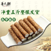 焦作温县铁杆棒粉面山药新鲜铁棍山药 铁棍淮山净5斤家庭装 养元