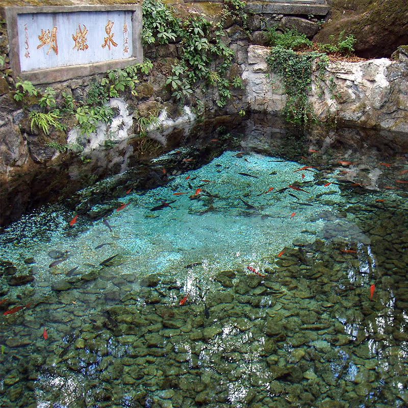 大理蝴蝶泉景点门票五朵金花的故乡 云南旅游当日可订全民疯抢