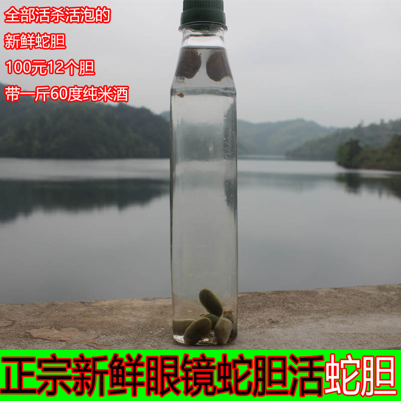 眼镜蛇胆银环蛇胆酒新鲜蛇胆泡酒蛇胆汁酒100元12个胆带酒包邮