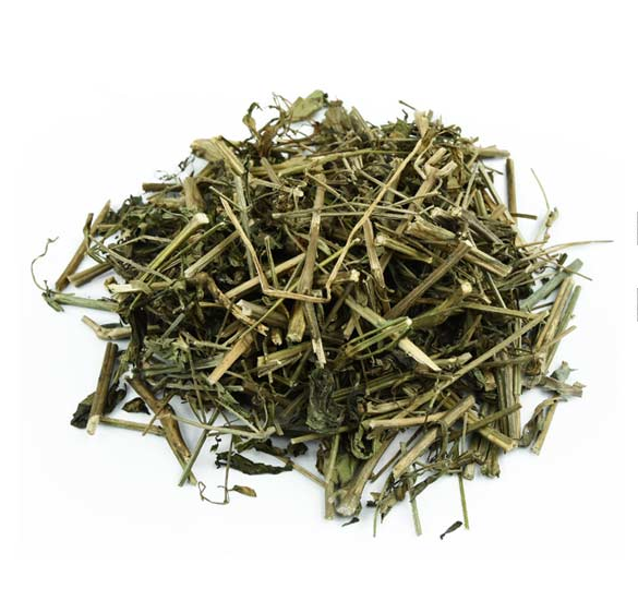 穿心莲 榄核莲一见喜斩舌剑苦草苦胆草四方草中药材包邮