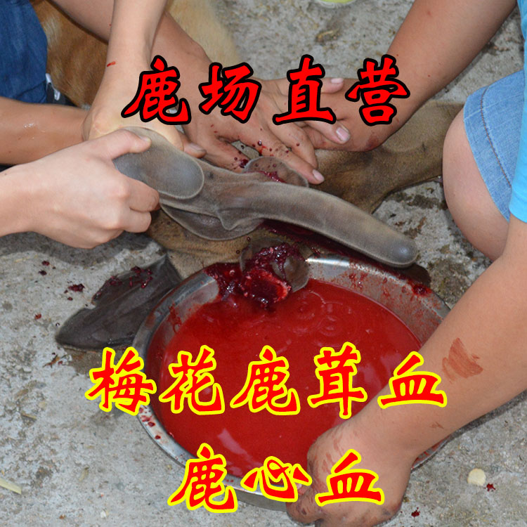 梅花鹿 鹿心血酒 鹿茸血酒保证鹿心血鹿茸血 鹿血 鲜纯度特价包邮