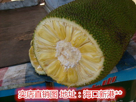 海南新鲜热带果园菠萝蜜水果直发1折包邮