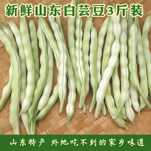 山东老来少芸豆3斤装 九粒白扁豆菜豆四季豆新鲜有机蔬菜包邮申通