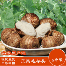 笨芋头山东新鲜农家毛芋头粉糯小芋头芋艿子芋头香芋2500g 芋头