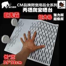 乌龟晒台 晒背浮岛浮台爬台吸塑料整理箱小中大号 CM巴西草龟水龟