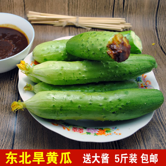 东北新鲜旱黄瓜 农家自种现采摘蔬菜水果小黄瓜5斤装包邮送大酱