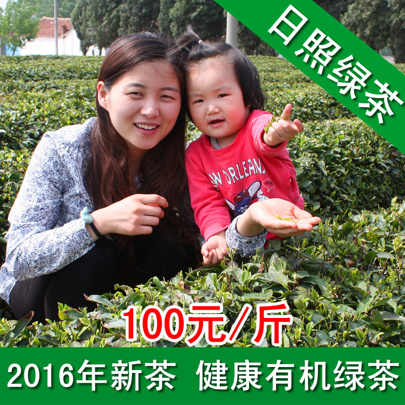 2016新茶叶绿茶春茶日照绿茶自产自销莒县夏庄雪青板栗香1斤100元