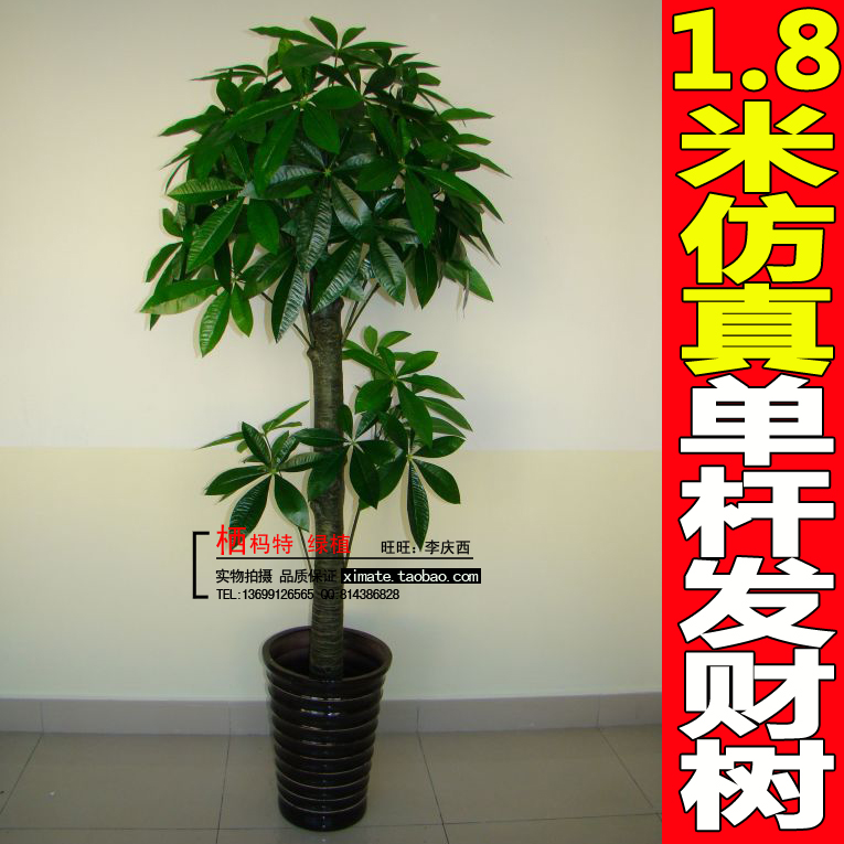 发财树盆栽装饰 T1MUCtFcJeXXXXXXXX_!!0-item_pic.jpg