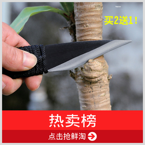 波罗树苗嫁接刀法图解_丑橘树苗_吊兰嫁接_扁桃树苗 ...