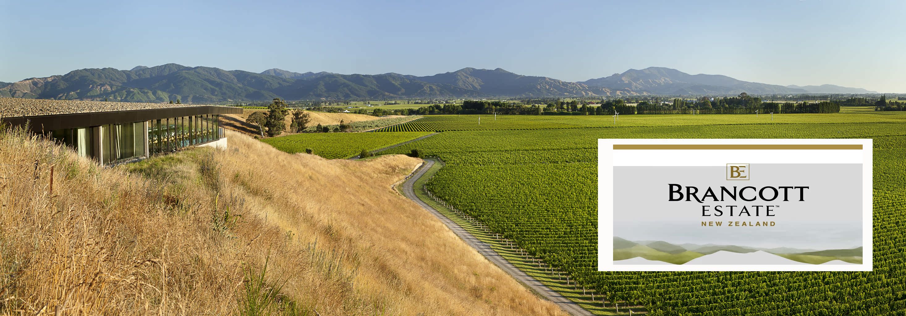博岚歌酒庄马尔堡长相思 brancott estate sauvignon blanc